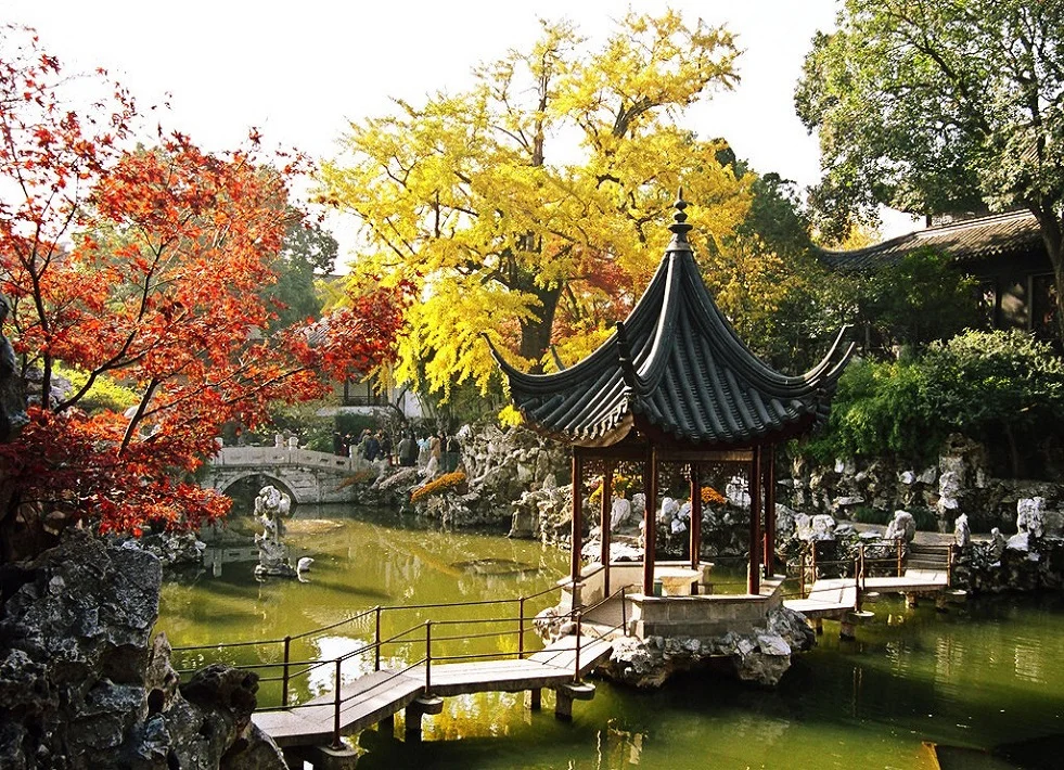 Lion Forest Garden