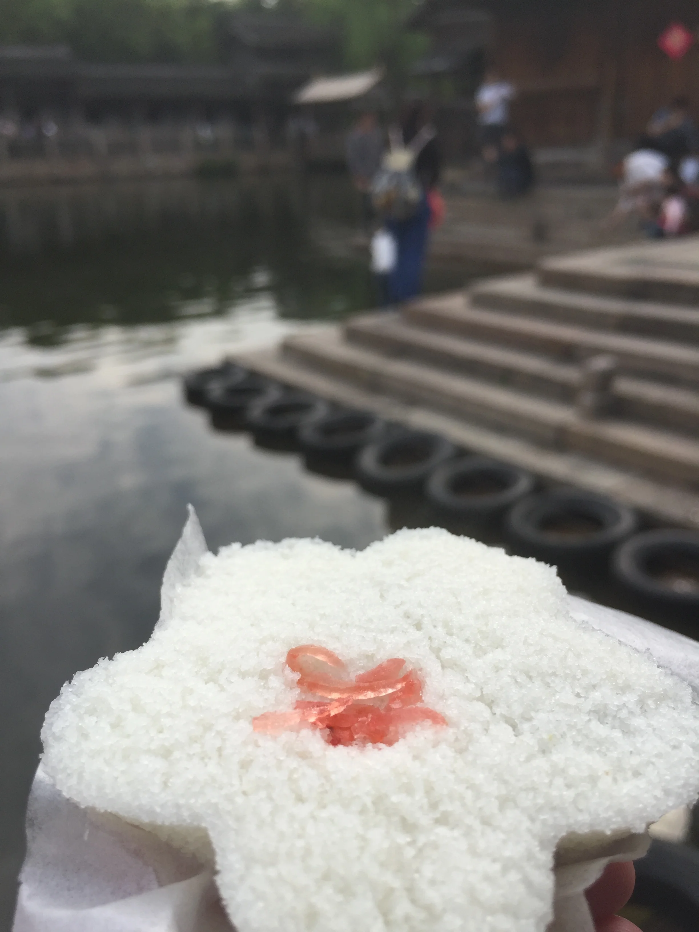 A Late Post: A Social Guide to Eating/Traveling in China