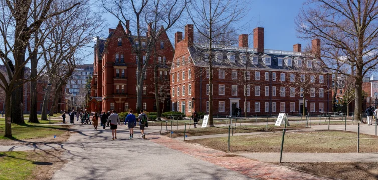 AYC @ Harvard
