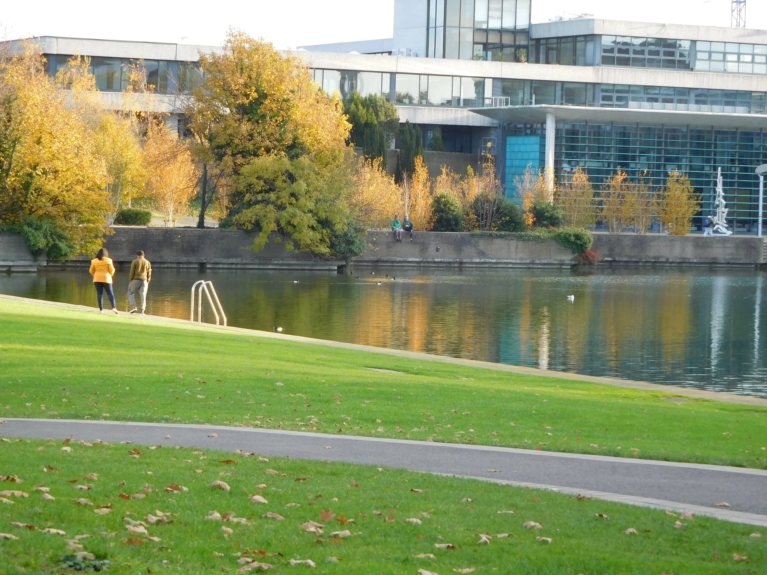 University College Dublin Ambright and AYC webinar