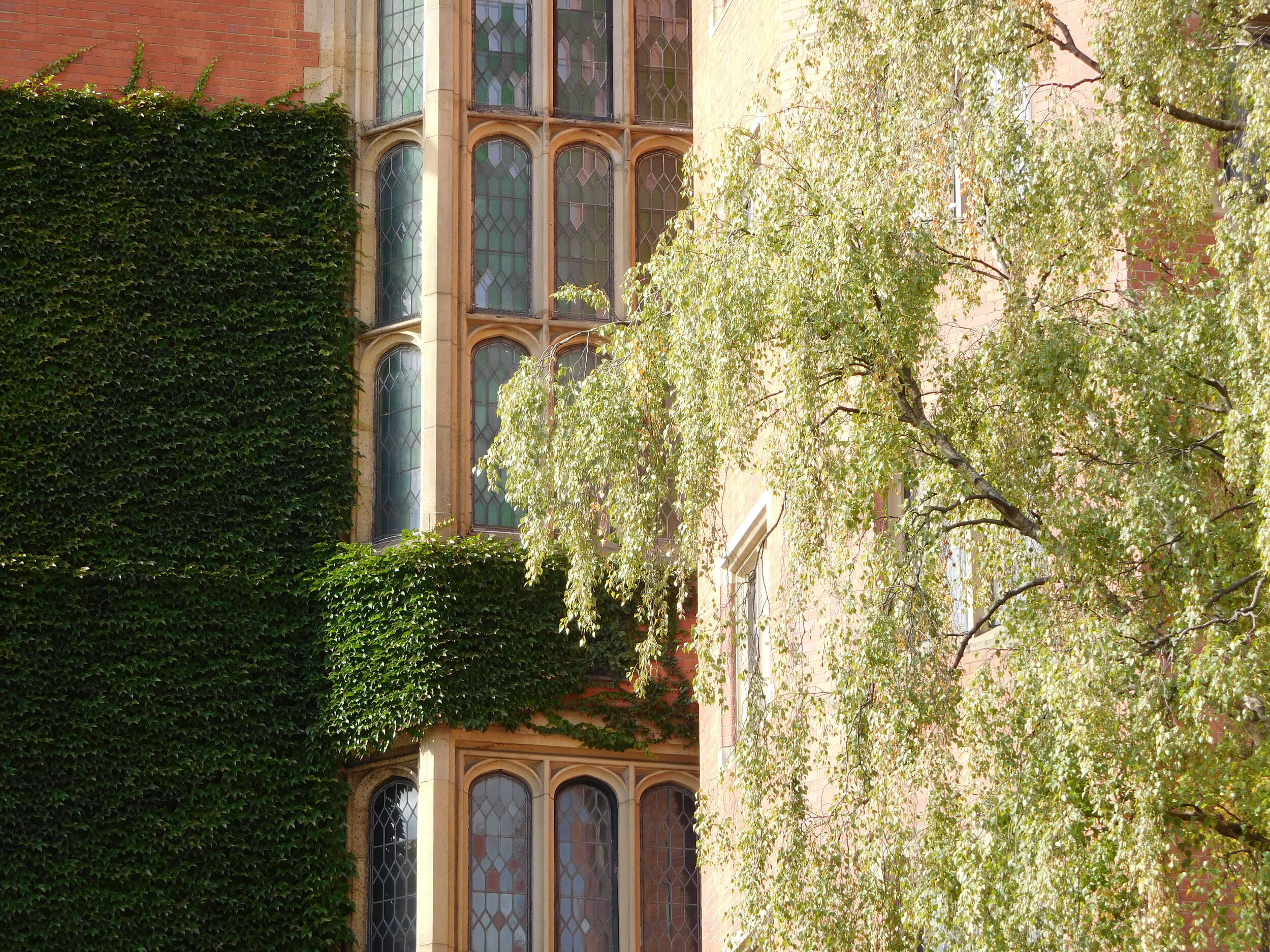 University of Sheffield Ambright and AYC webinar