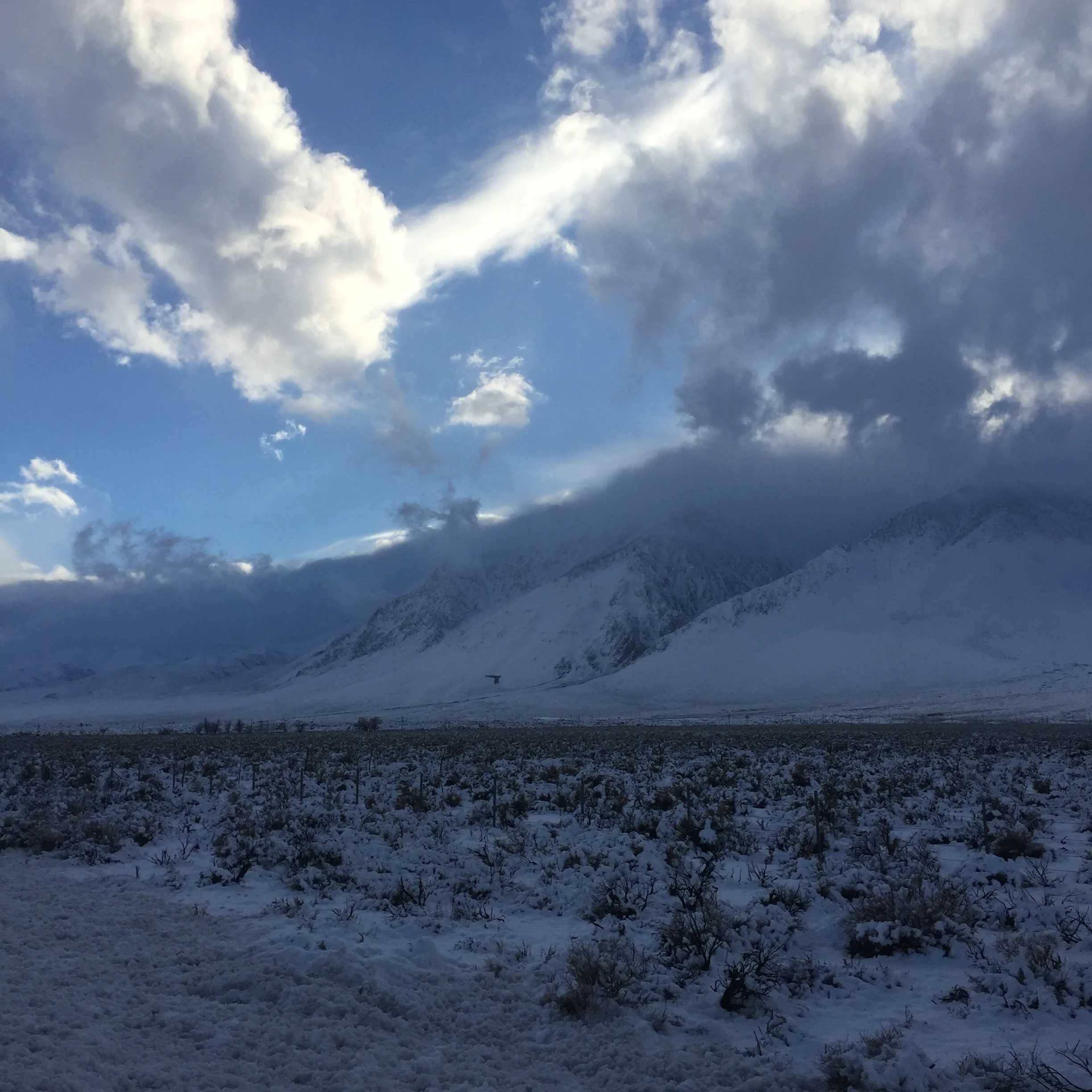 Creating a Workout Routine