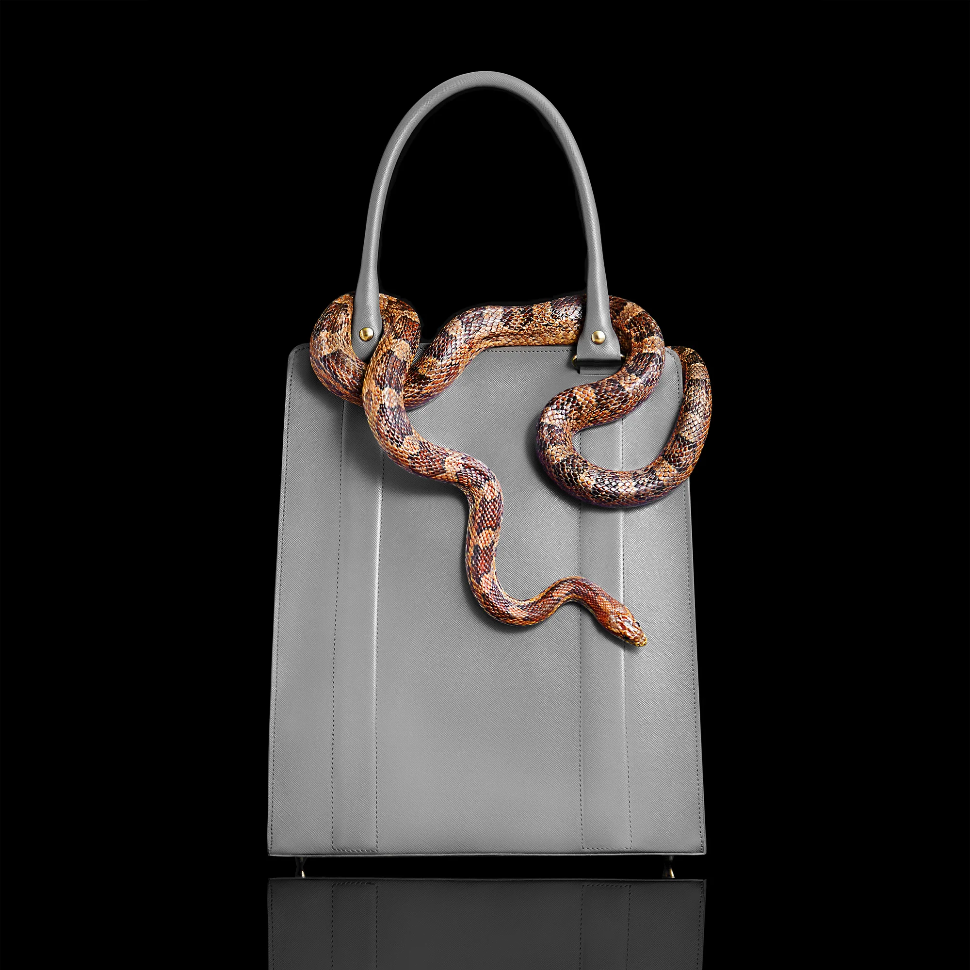  Grey handbag with snake reptile creative still life photography. Handbag, clutch bag,&nbsp;fashion accessory.&nbsp;Luxury goods still life photographer London,&nbsp;Josh Caudwell. For product and editorial photography in London, New York, Paris, Mil