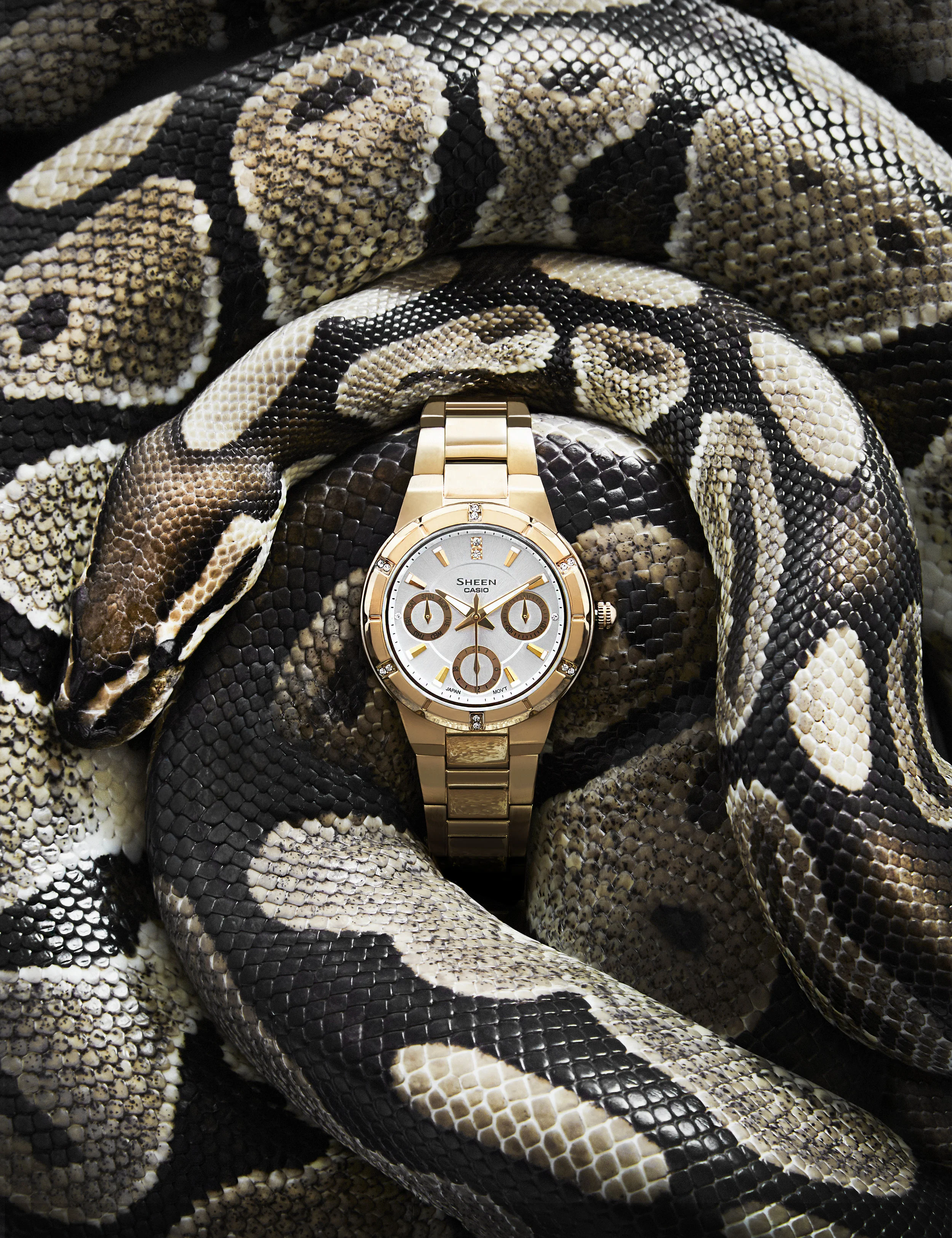  Still life photographer in London, Josh Caudwell, shoots luxury golden Casio watch and python snake. Creative photographer working in London, New York, Paris and Milan. For fashion still life, product photography and editorial commissions. 