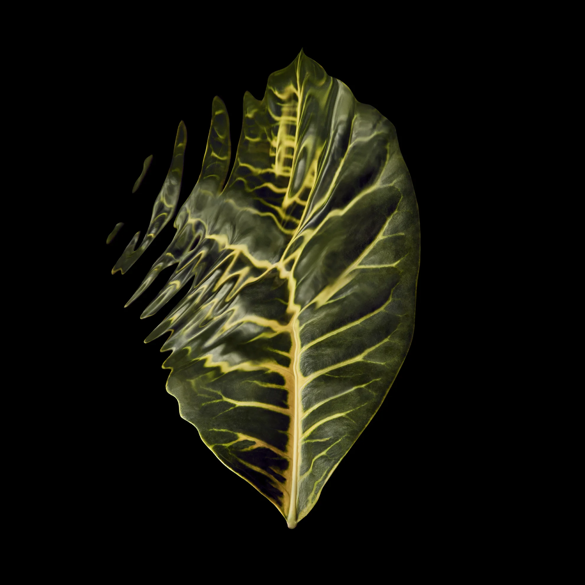 tropical-rainforest-leaves-rippled-distorted-still-life-photographer-london-paris-new-york-2.jpg