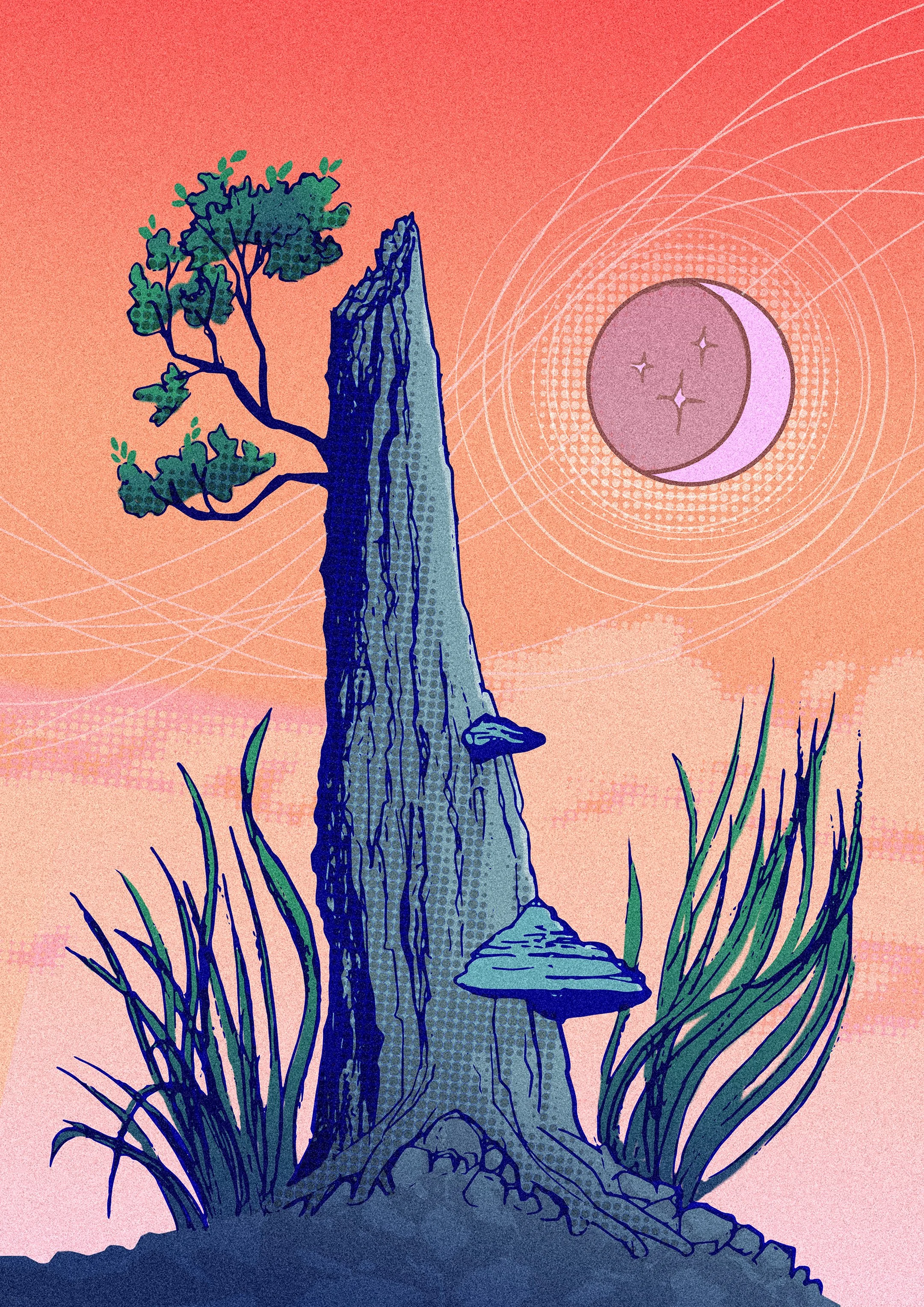 tree-with-mushrooms-1.jpg
