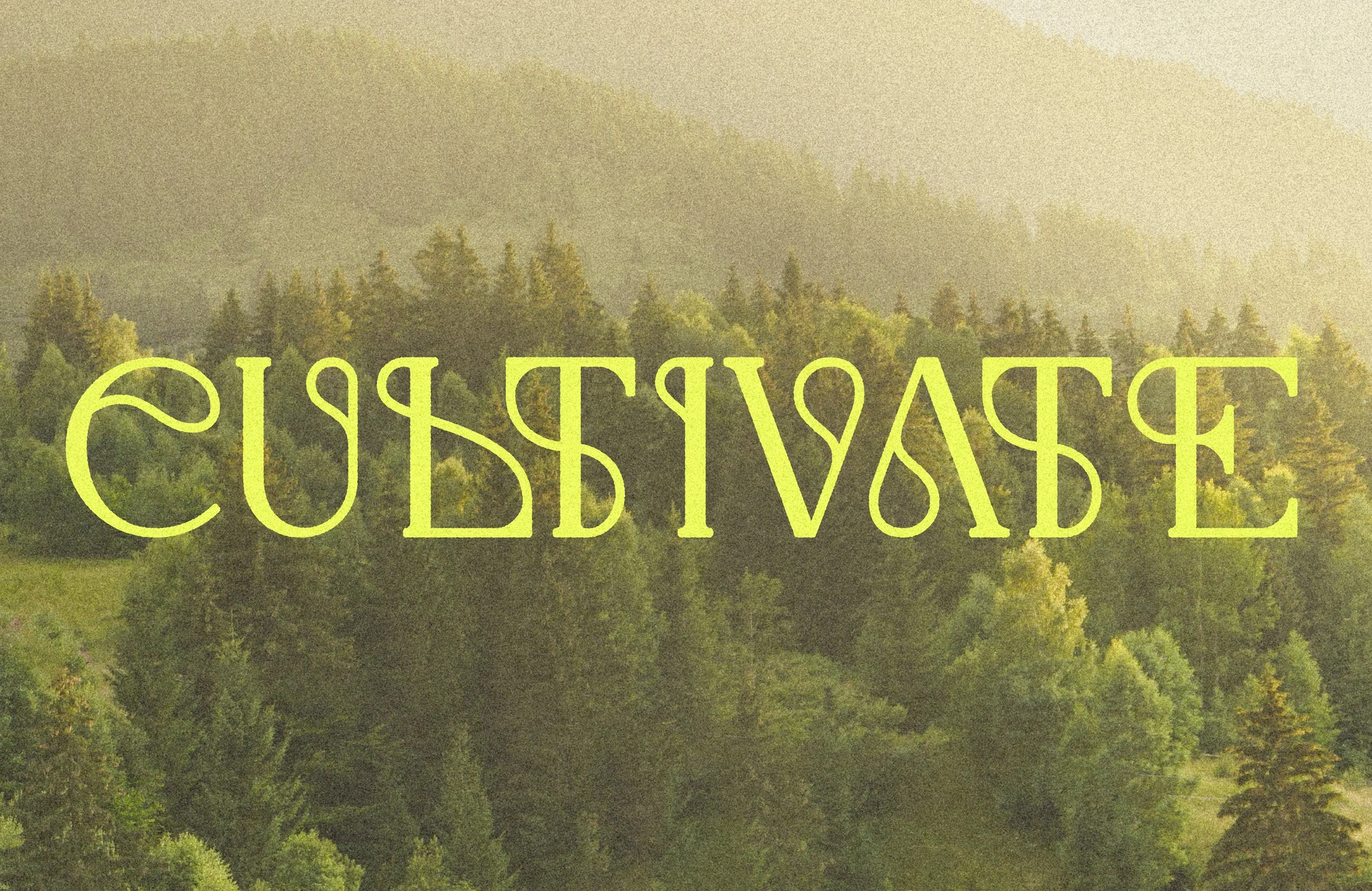 cultivate-postcard-graphic-design-creative-visual-design-logo-designer-in-sheffield-uk.jpg