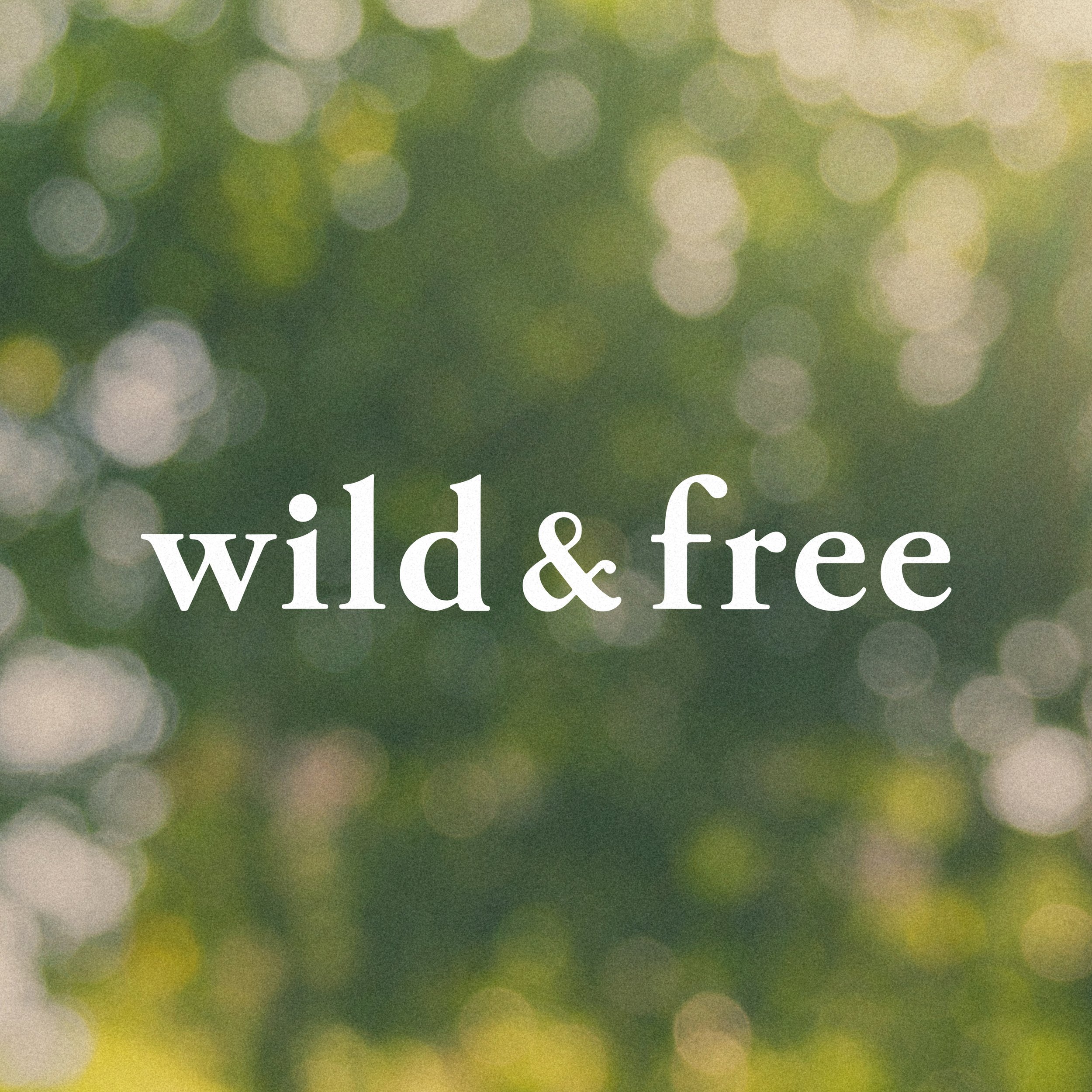 wild-and-free-logo-wellness-test-b.jpg