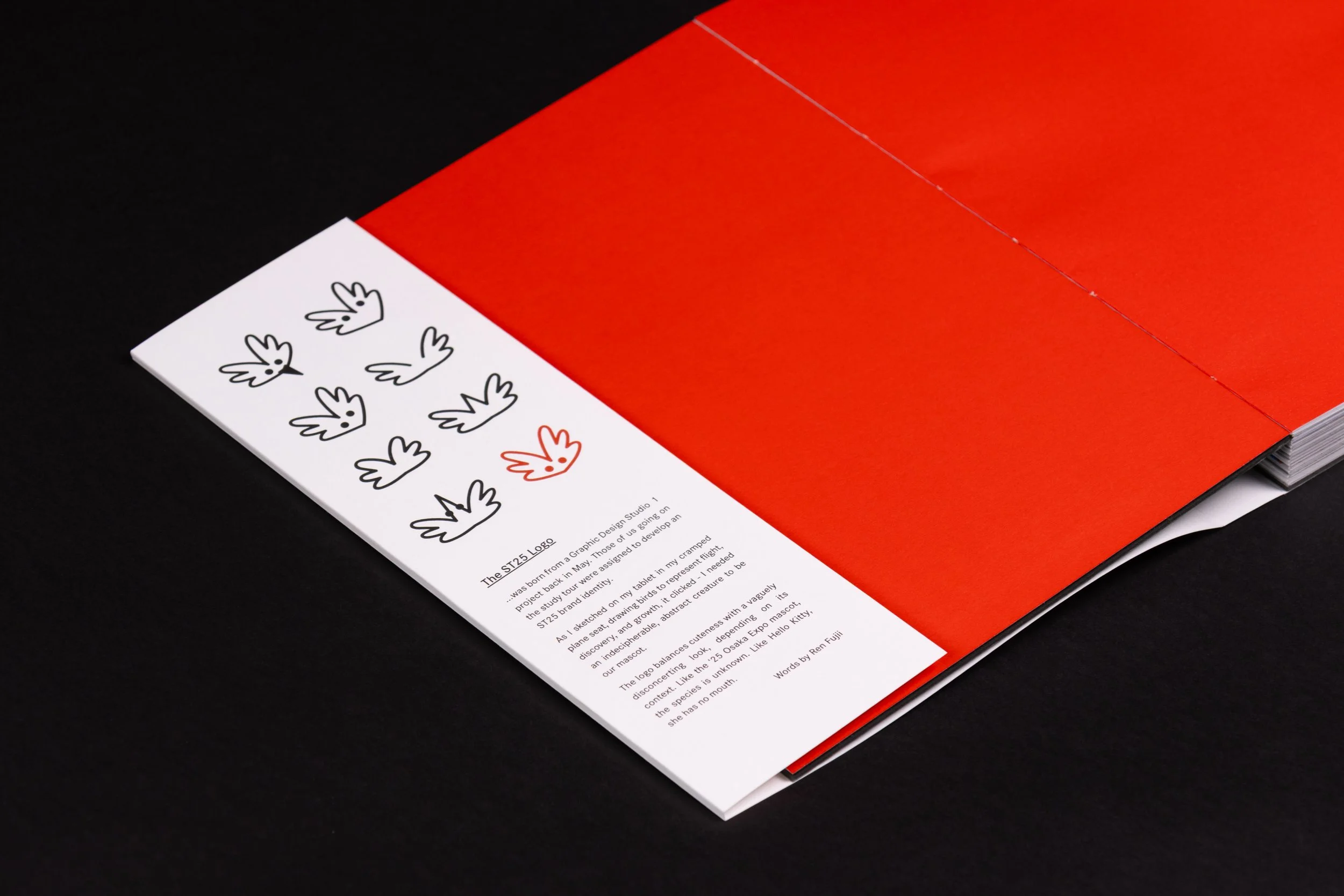 ST25_PublicationShoot-07.jpg