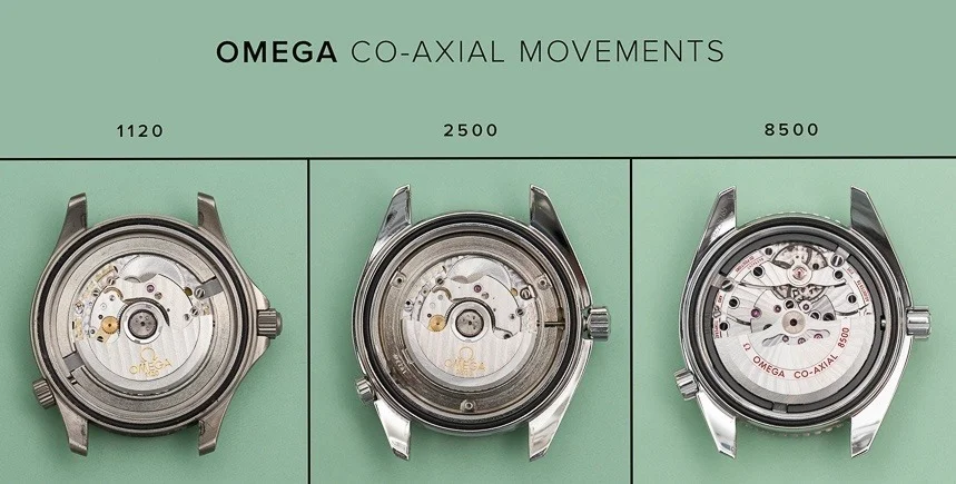 The evolution of Co-Axial movements.