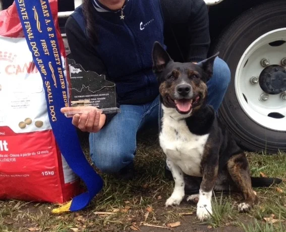 snoof takes home 1st prize for the small dog class