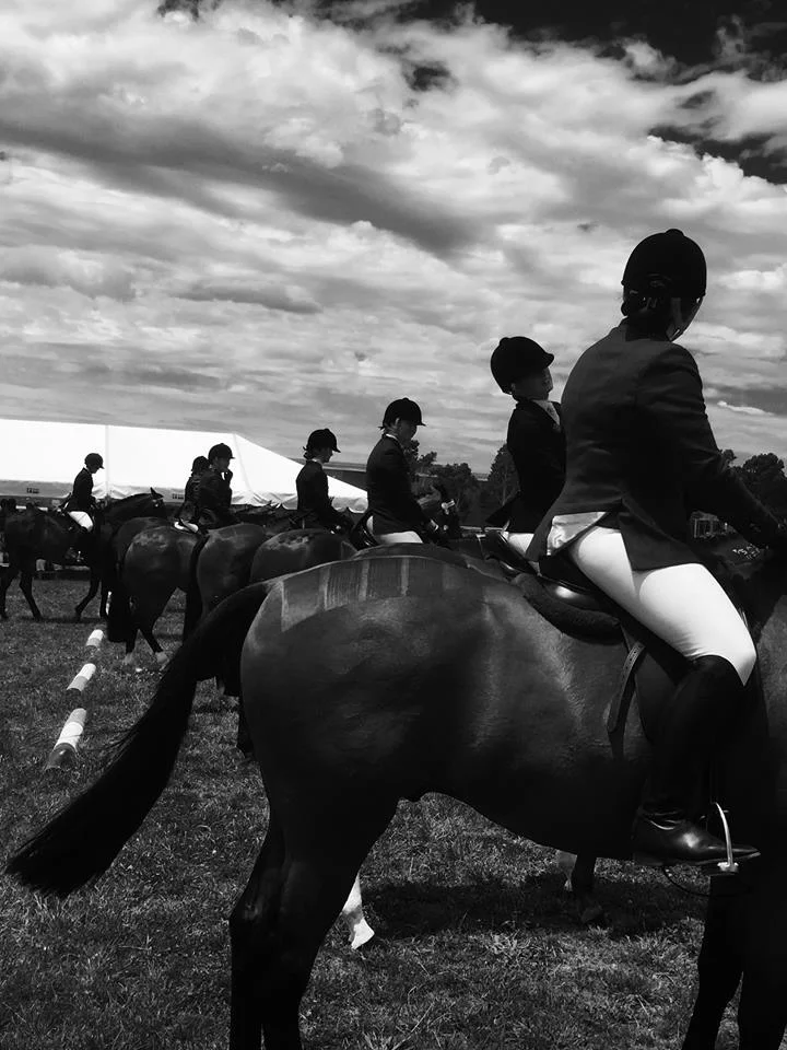 horse 1.jpg