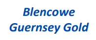 Blencowe Gurnsey Gold.PNG