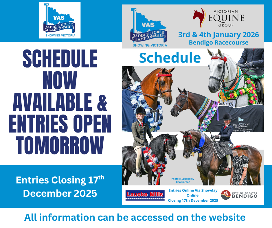 Saddle Horse - Schedule Available.png