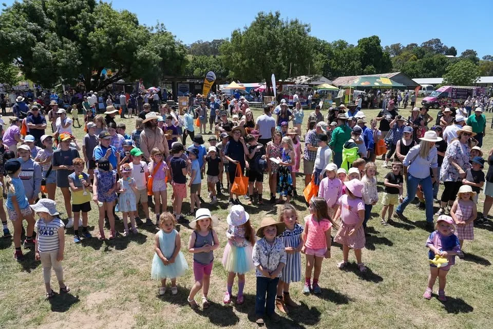 Mansfield Show Banner Image.jpg