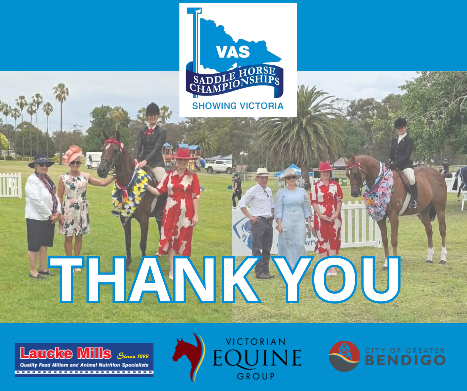 Saddle Horse Championships - Thank You 2026.png