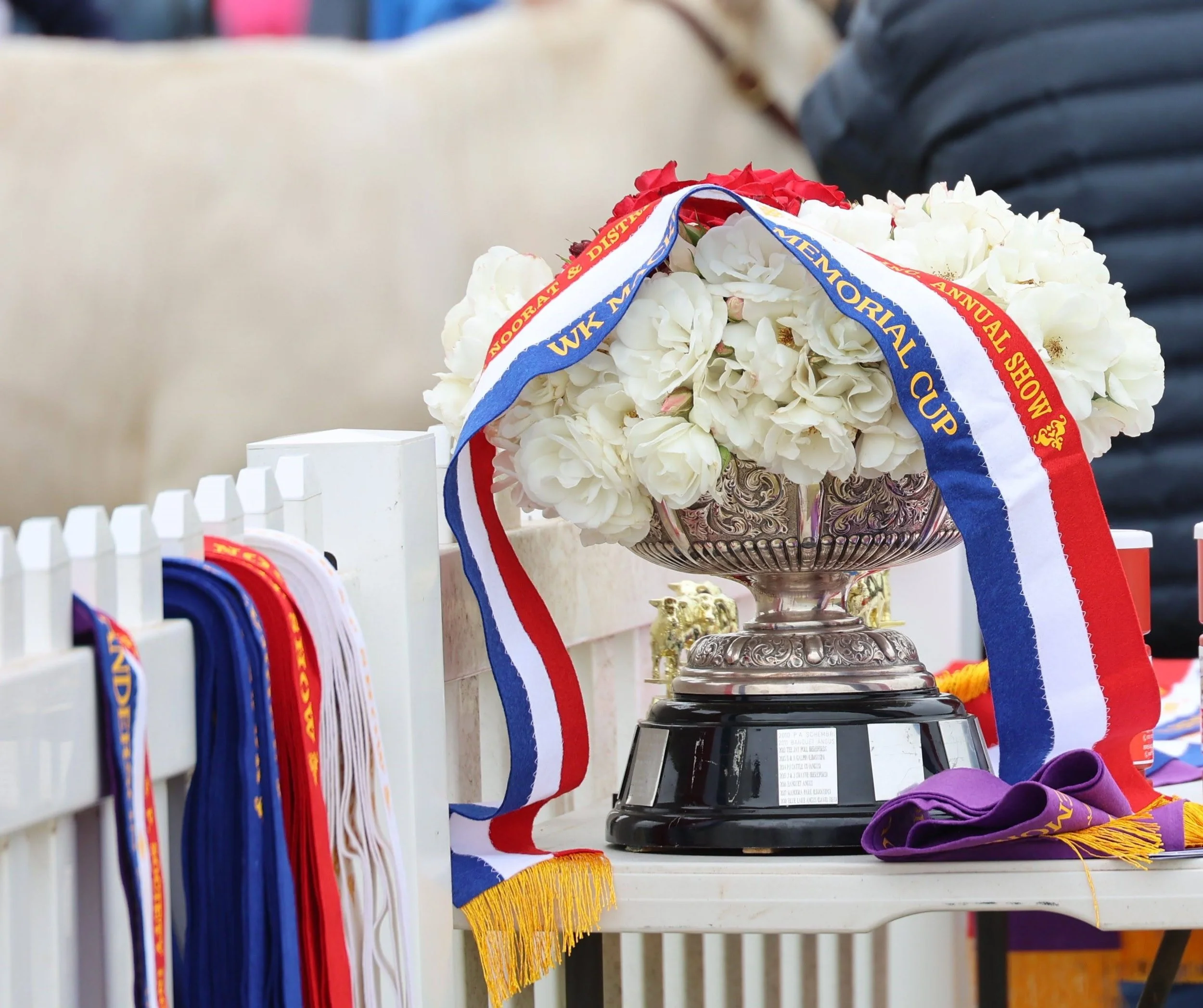 Noorat Show Header 3.jpeg