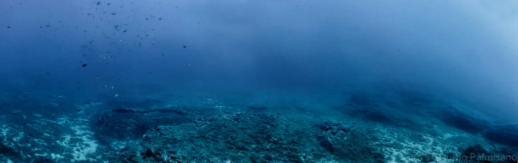 Untitled_Panorama3.jpg