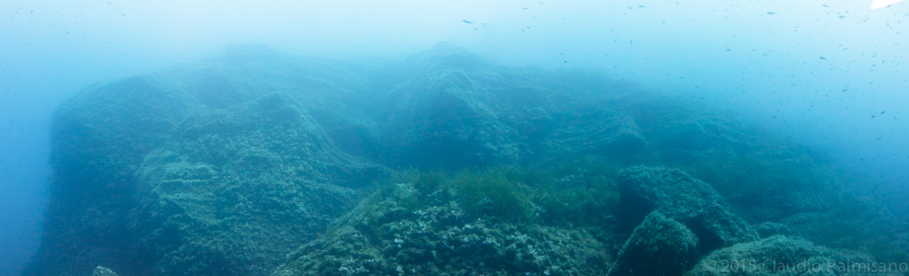 Untitled_Panorama12.jpg
