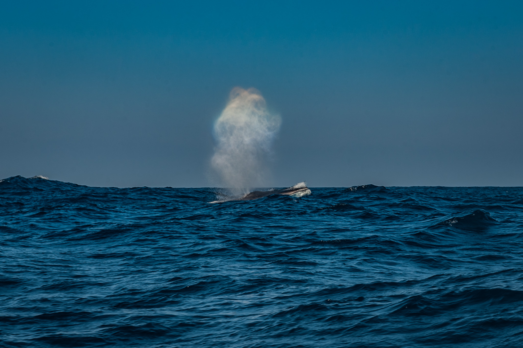20_DSC_0147.jpg