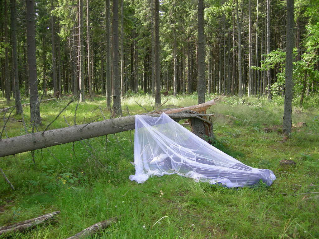 Så här har jag ofta bott under mina fältstudier. Om det regnar i tält - annars med myggnät under öppen himmel. Ibland untan myggnät. Denna bild är tagen en bit söder om Skövde. Jag hade arbetat ett pass i Skövde fram till 0400 och skulle börja ett eftermiddagspass i Jönköping. Det var en fin ljus sommarnatt utan risk för regn och jag bestämde mig för att köra in på en skogsväg för att sova, men det fanns inga lämpliga träd... men detta funkade också bra! 