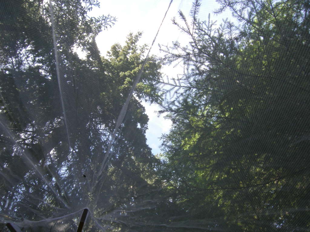 Ofta är det underbart att vakna under bar himmel i skogen (om nu det inte skett en väderväxling mitt under natten...), men...