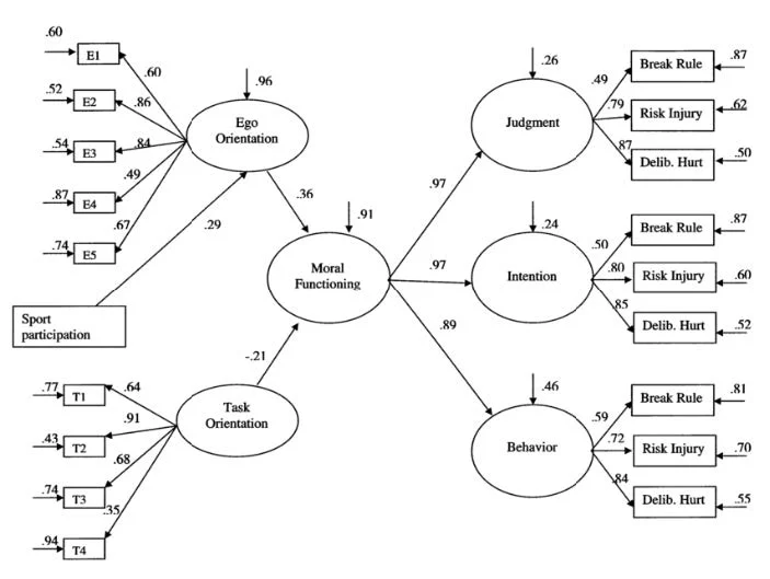 Nikos Ntoumanis, 2015: adapted from the 2003 model.