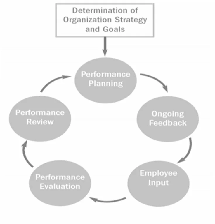 The performance management model (Pulakos, 2004)