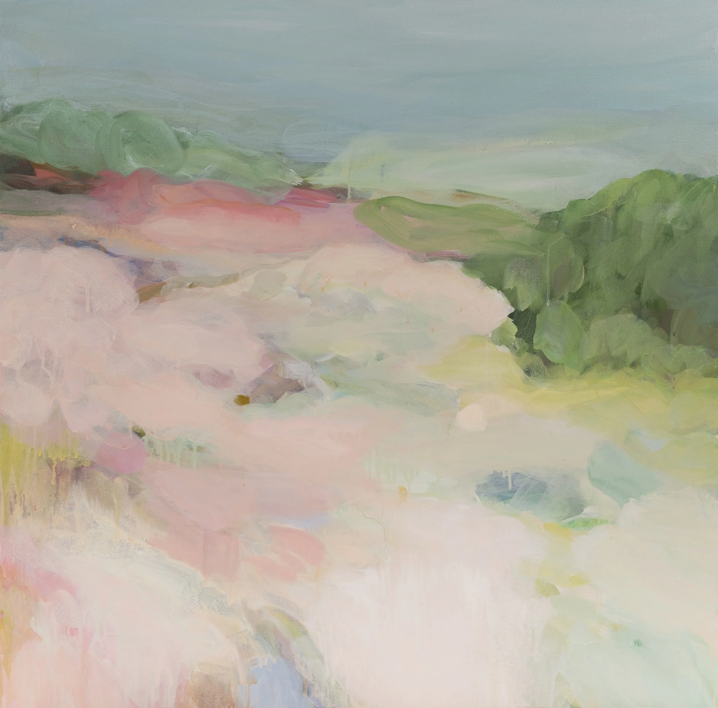 Rose Drift 100x100cm. jpg .jpeg