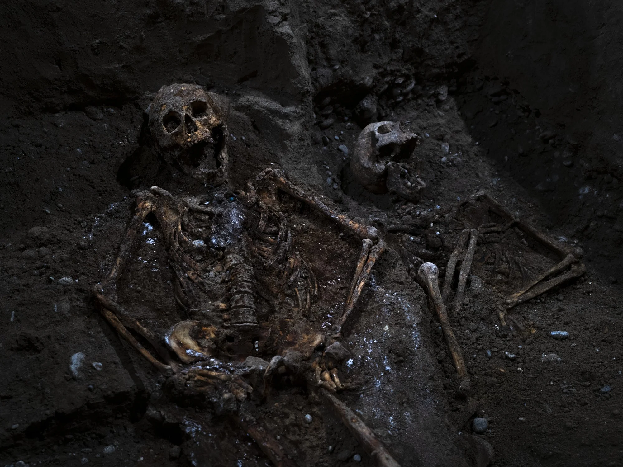 Squelette de moines cisterciens exhumés lors de fouiles archéologique à Hauterive