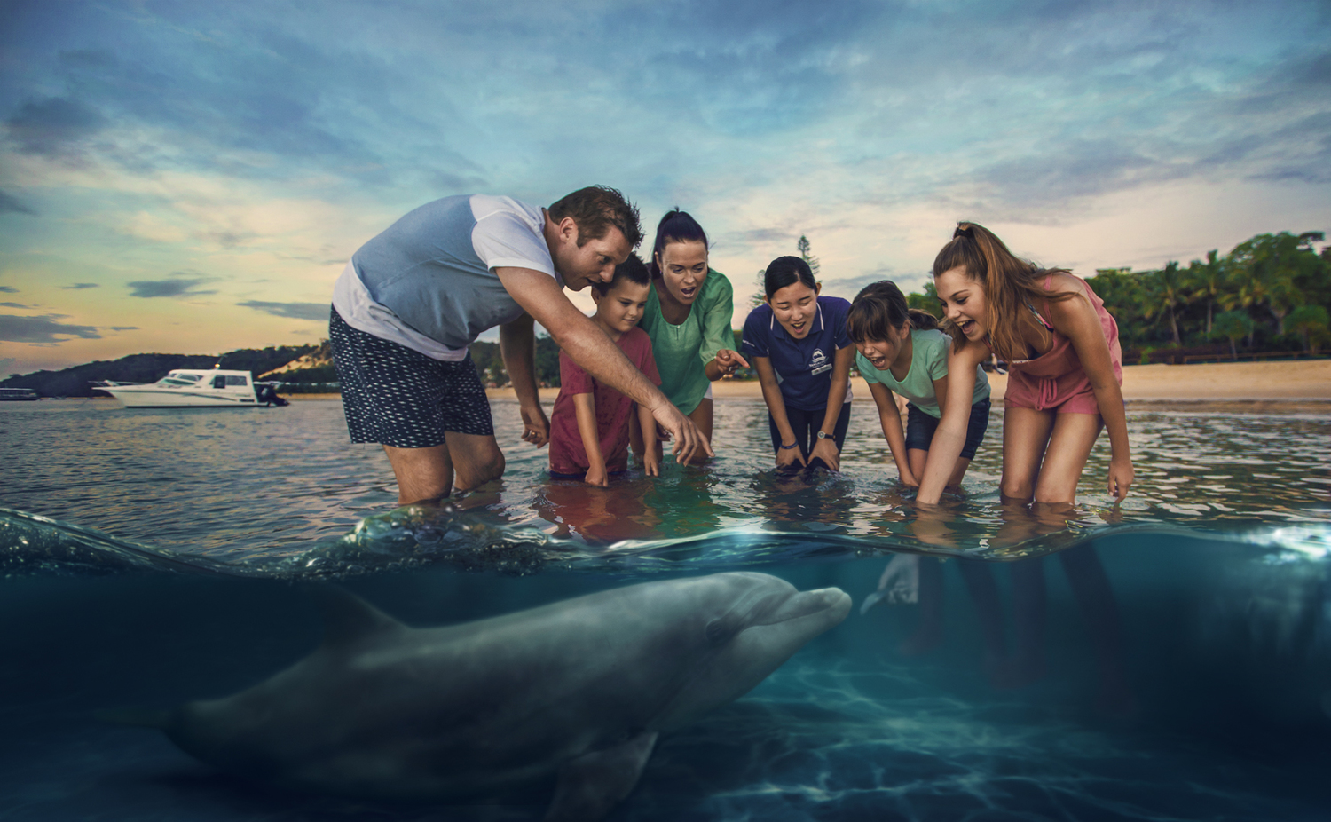 Dolphin+Feeding.jpg