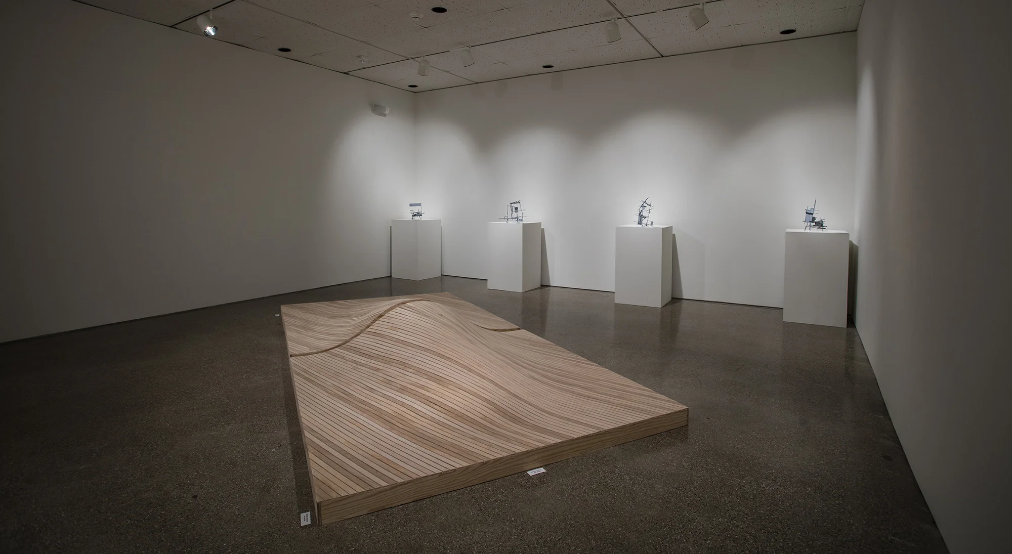   Field Study (working model) , 2015. Alternate view,&nbsp;(background  Gray Series  sculptures) 