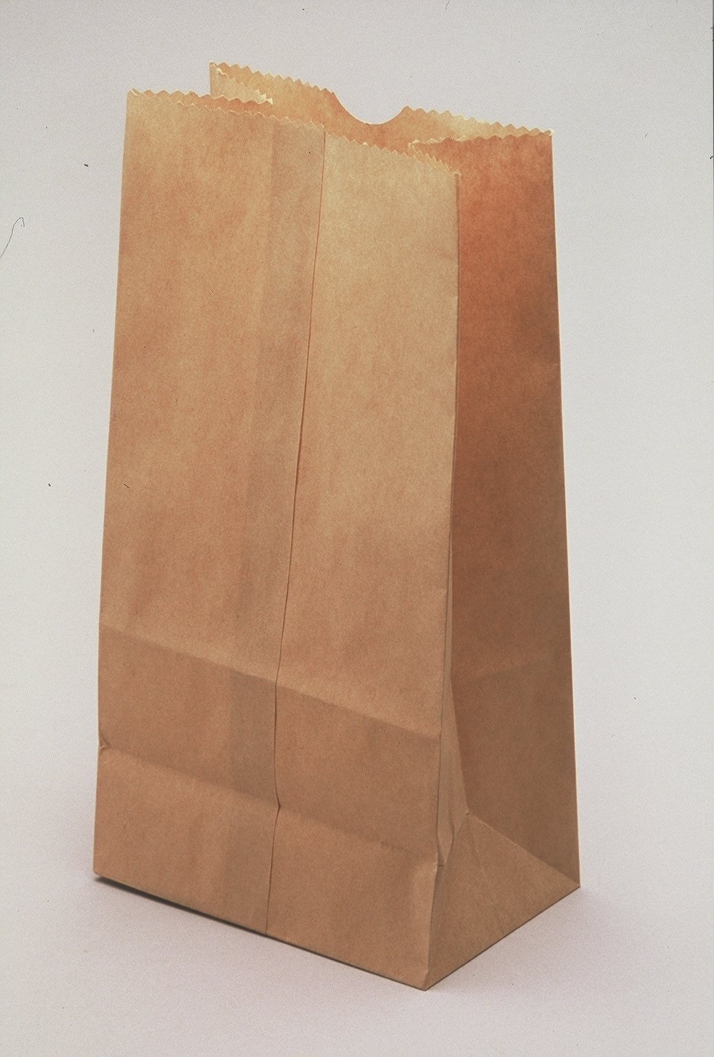 Brown Paper Bag , 2005 (recreated 2015). Butcher paper and glue. Edition of 2. Brown Paper Bag recalls the childhood embarrassment of having lunch delivered to school, sometimes in a clear, reused bread bag with its contents exposed, other times