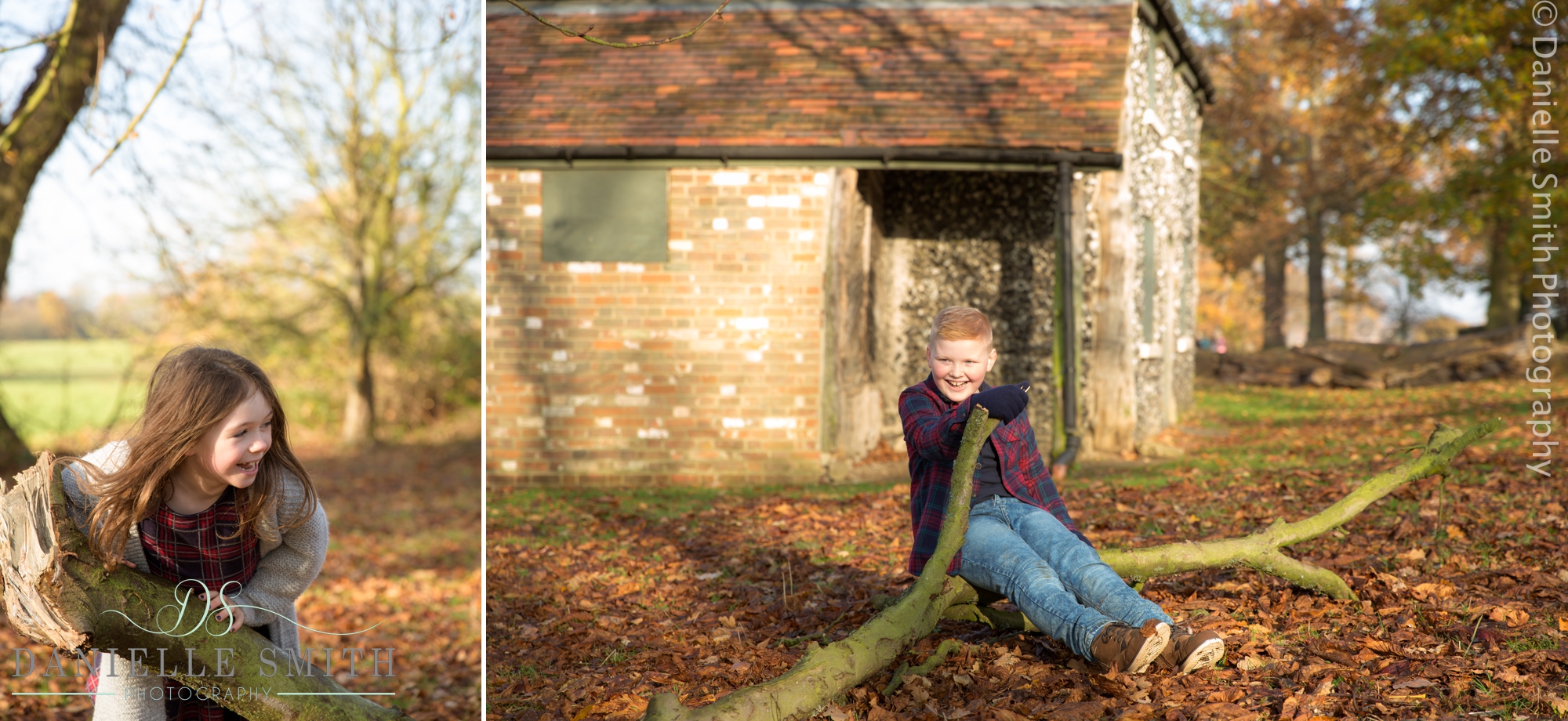 kids playing on tree in autumn photo shoot