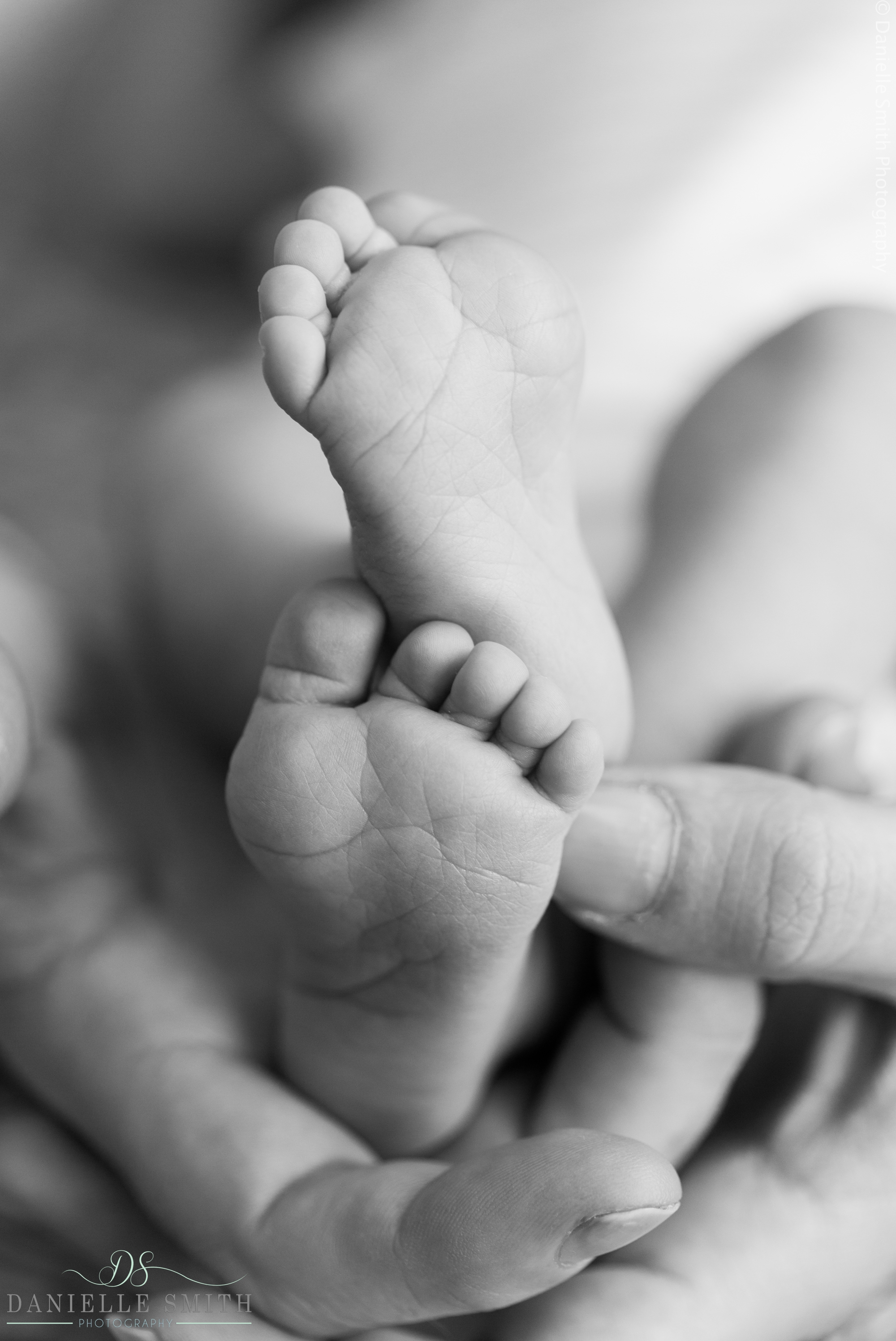 mum and dads hands with newborn baby feet