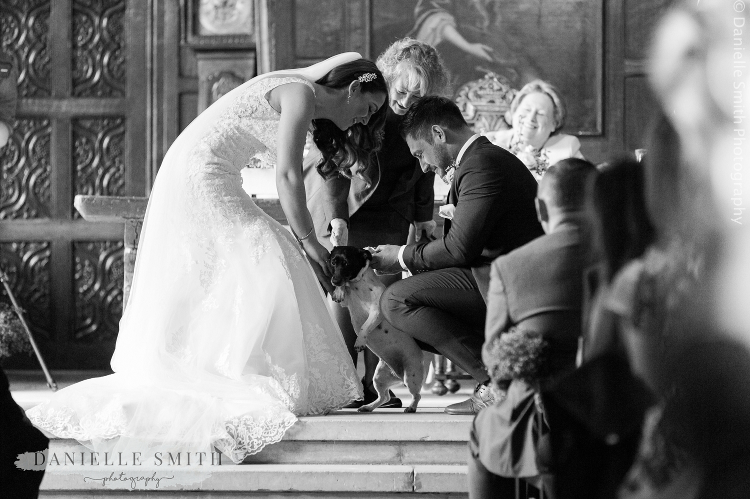 dog is the ring bearer at ingatestone hall wedding ceremony
