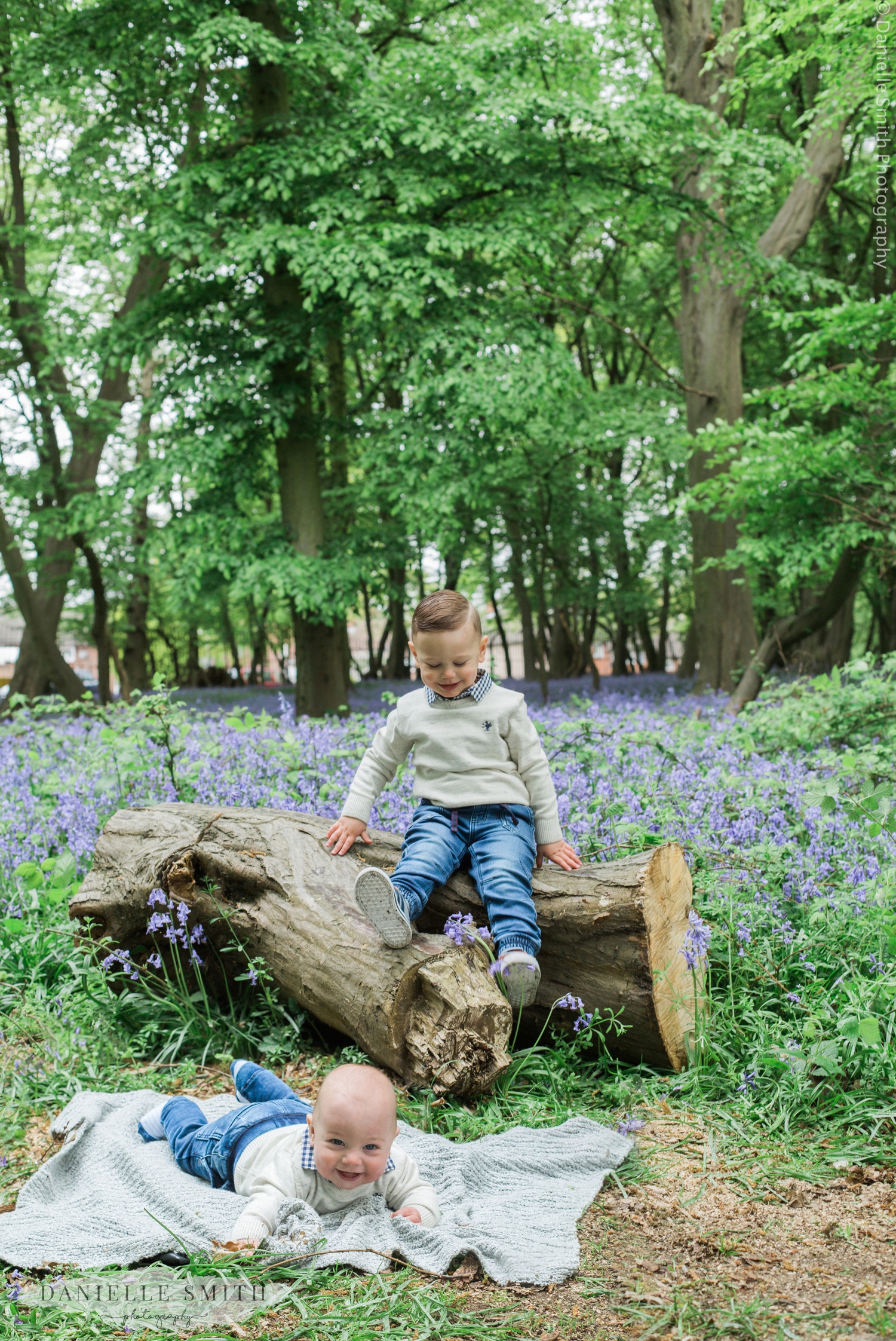 brothers in bluebell woods - family photography essex