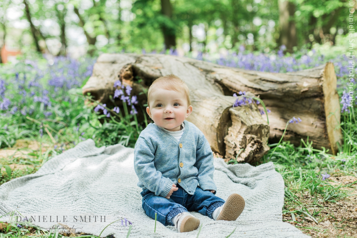 little boy sitting in woods