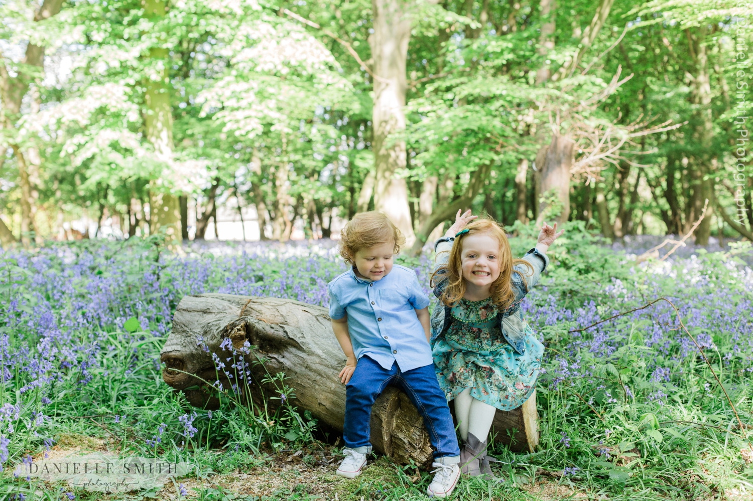 brother and sister sitting on log in forest - bluebells family photos