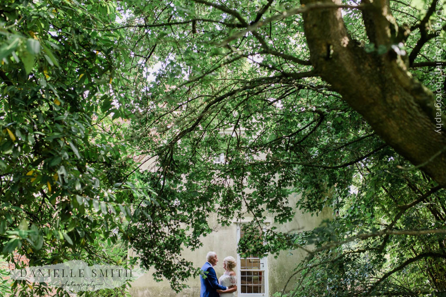 bride and groom under huge tree