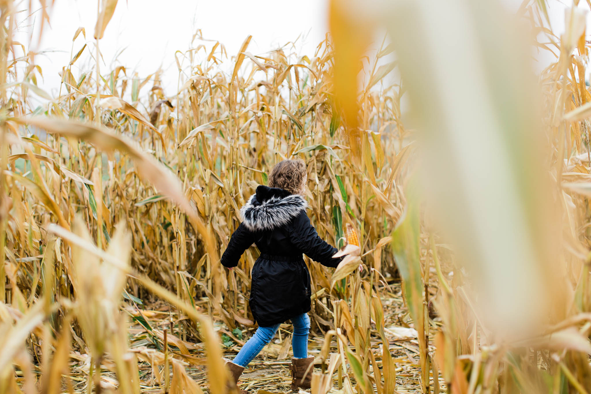girl walking through corn field