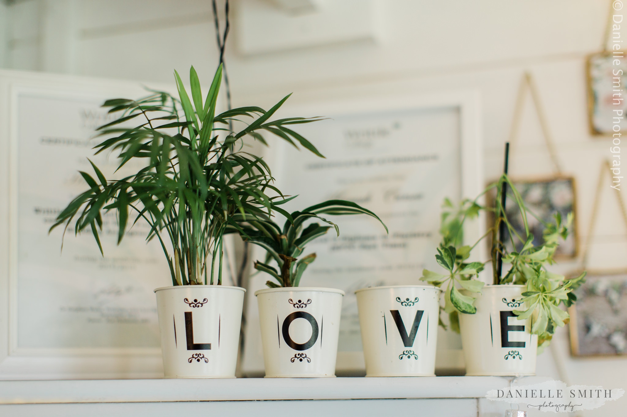 plove plant pots in florists workshop