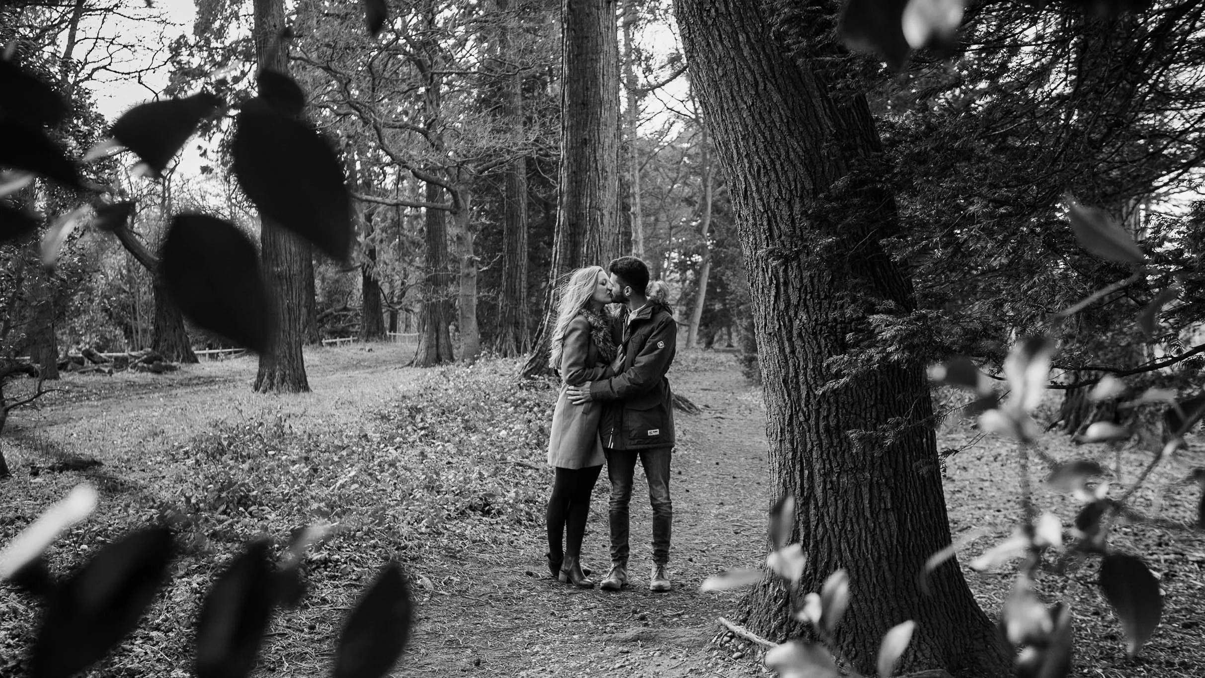couple standing in woods - pre wedding photography in woods