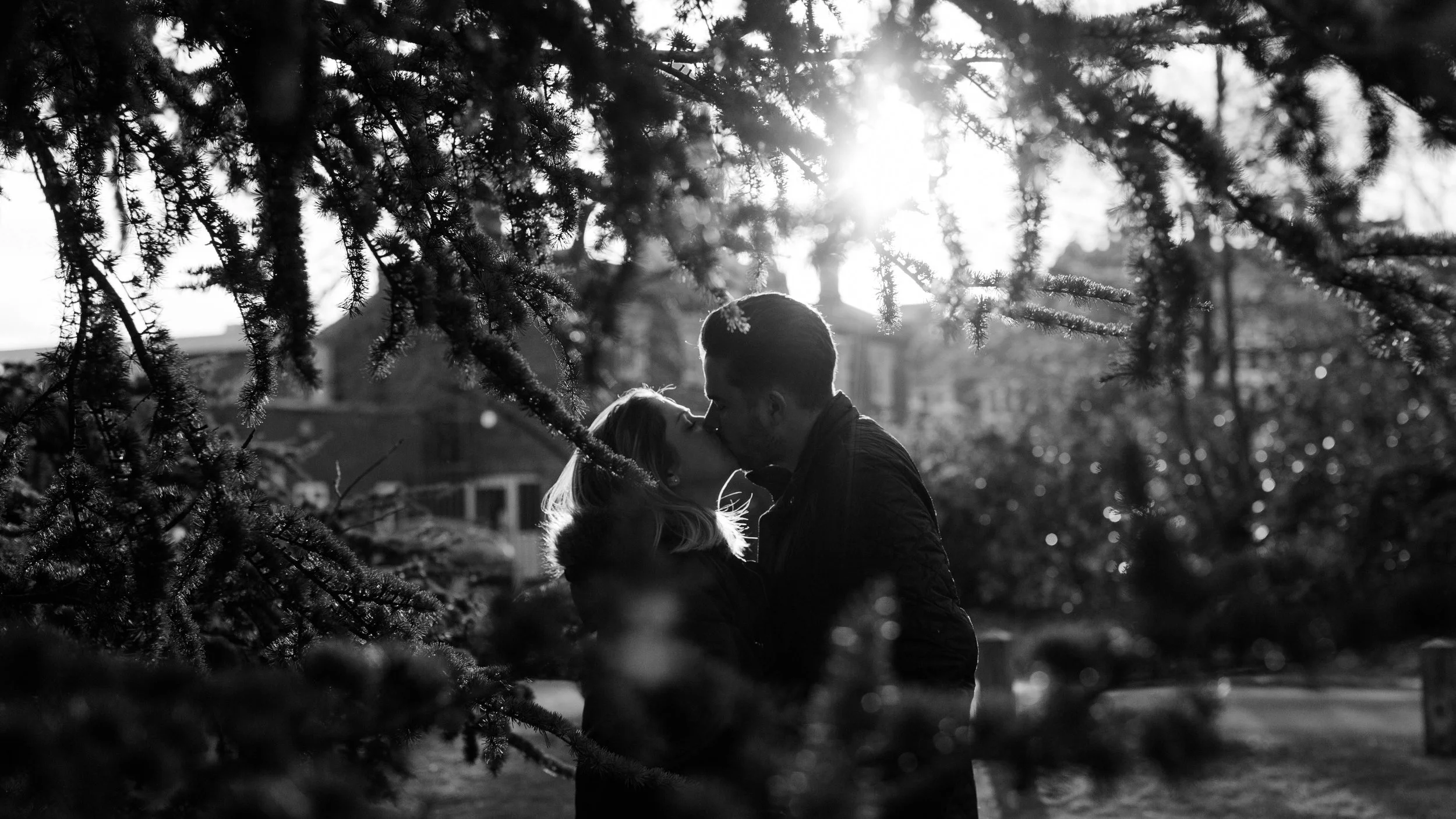 black and white photo of couple kissing through tree branches