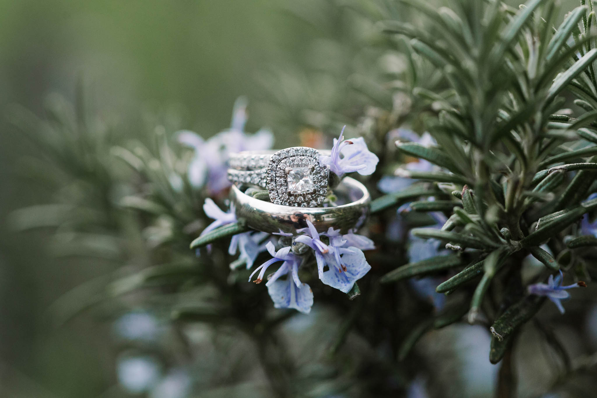 wedding rings on purple flowers