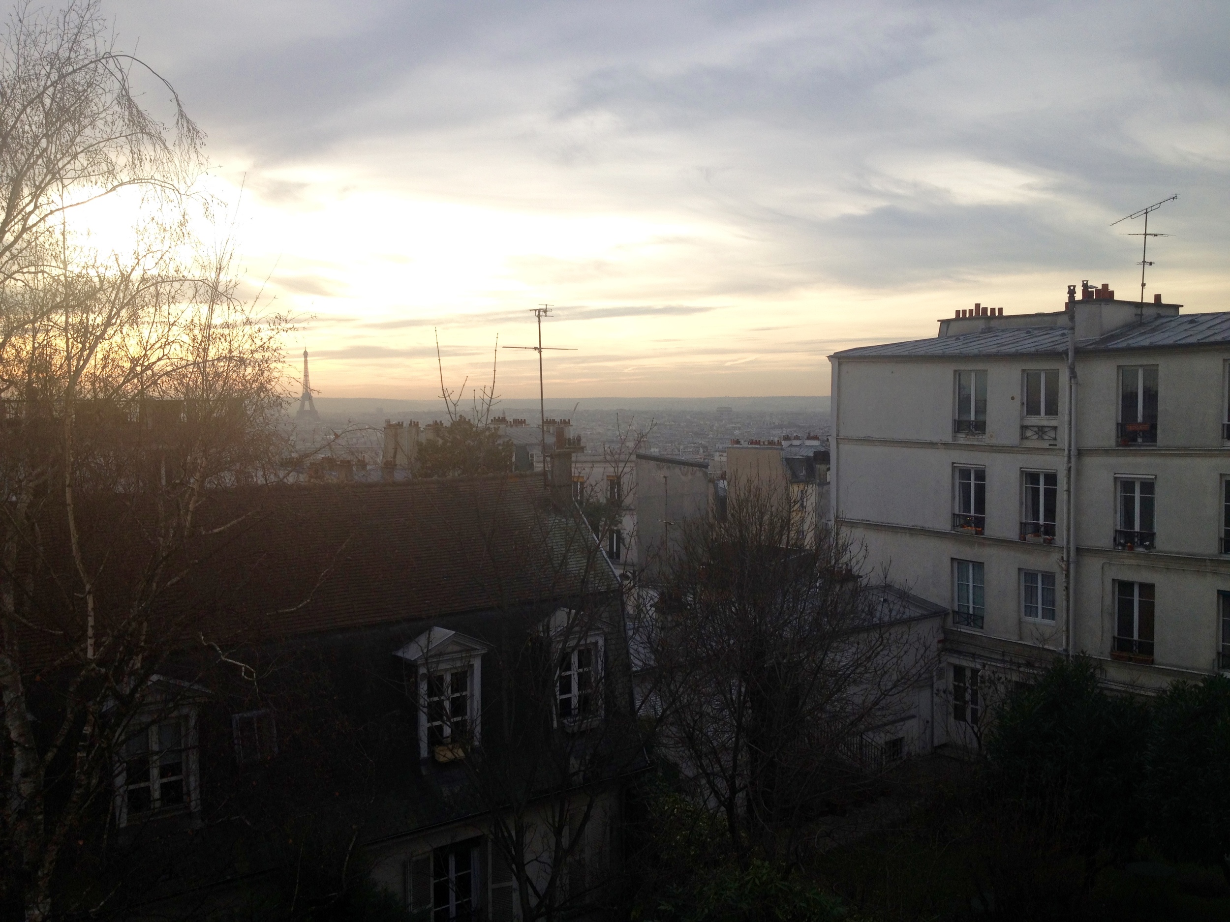 You can just barely make out the Eiffel Tower in the distance but I still love this shot.