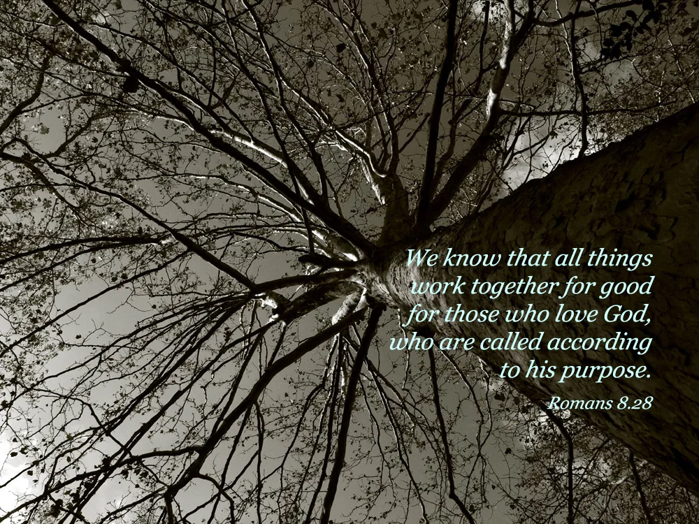 romans8_28.jpg