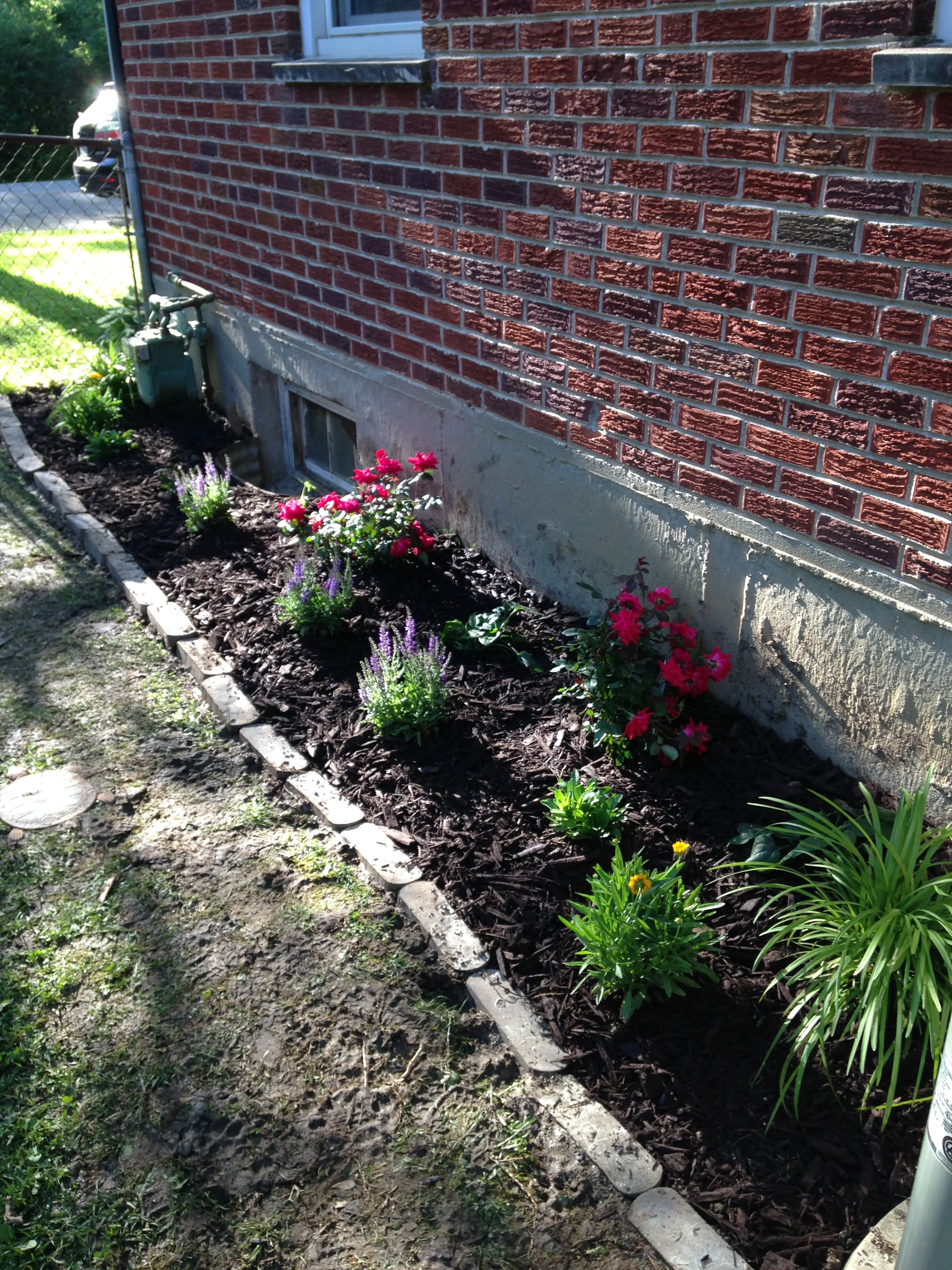 My Garden of Hope