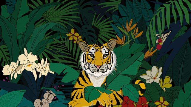 Tiger Animation (Copy)