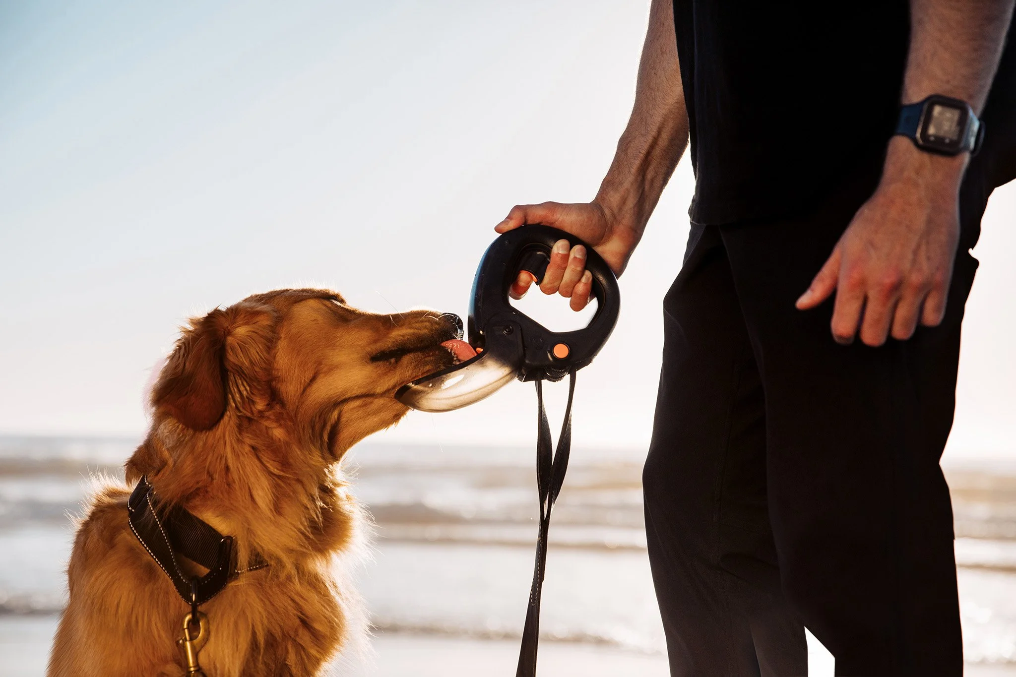 How visuals drive engagement: key strategies for marketers